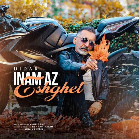 دانلود آهنگ دیدار اینم از عشقت